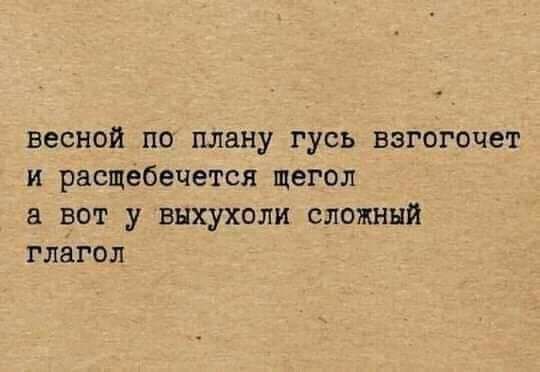 весной по плану гусь взгогочет и расщебечется щегол вот у выхухоли сложный глагол