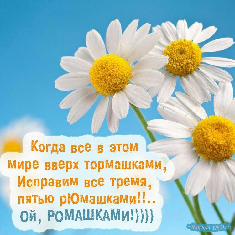 Когда все в этом мире вверх тормашками Исправим все тремя пятью рЮмашками