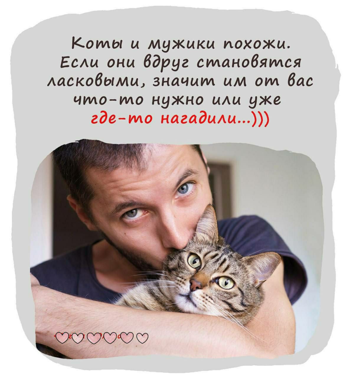 Коты и мужики похожи Есщ они вдруг станобяуися Ааскобыми значит им от бас чило то нужно мы уже гдето началамщ