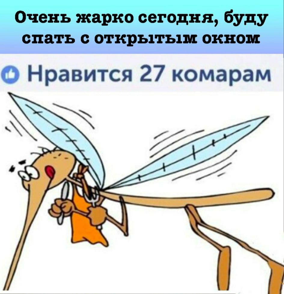Очень жарко сегодня буду спать с открытым окном О Нравится 27 комарам