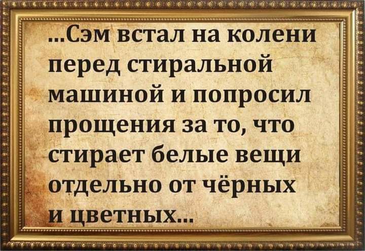 п660ьсв е Сэм встал на колени перед стиральной машиной и попросил прощения за то что стирает белые вещи отдельно от чёрных