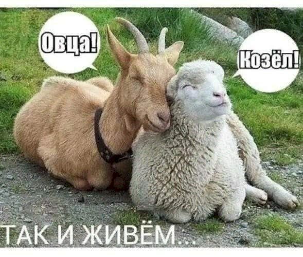 Так.и живём