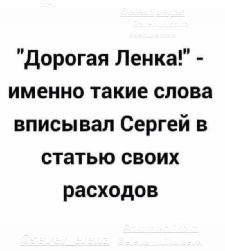дорогая Ленка именно такие слова вписывал Сергей в статью своих расходов