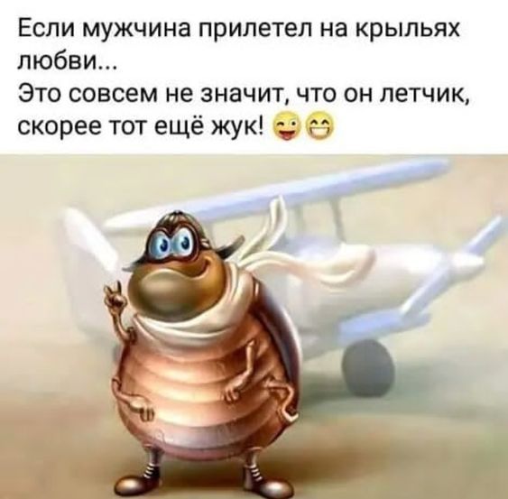 Если мужчина прилетел на крыльях любви Это совсем не значит что он летчик скорее тот ещё жук