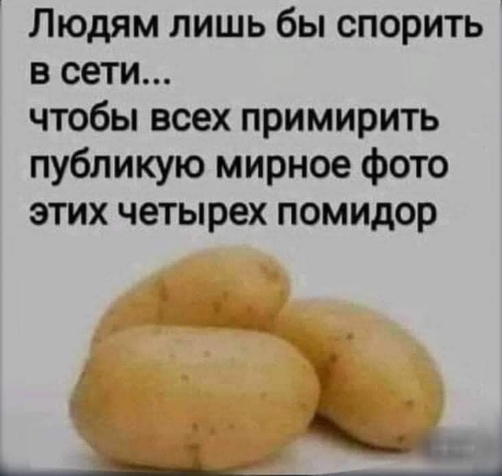 Людям лишь бы спорить в сети чтобы всех примирить публикую мирное фото этих четырех помидор