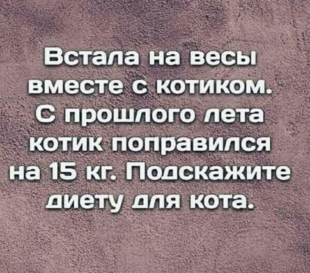 Встала На весы вместе с котиком С прошлого пета