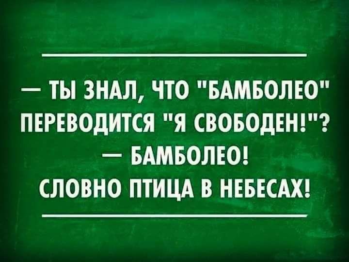 ТЫ ЗНАЛ ЧТО БАМБОЛЕО ПЕРЕВОДИТСЯ Я СВОБОДЕНГ БАМБОЛЕО СЛОВНО ПТИЦА В НЕБЕСАХ