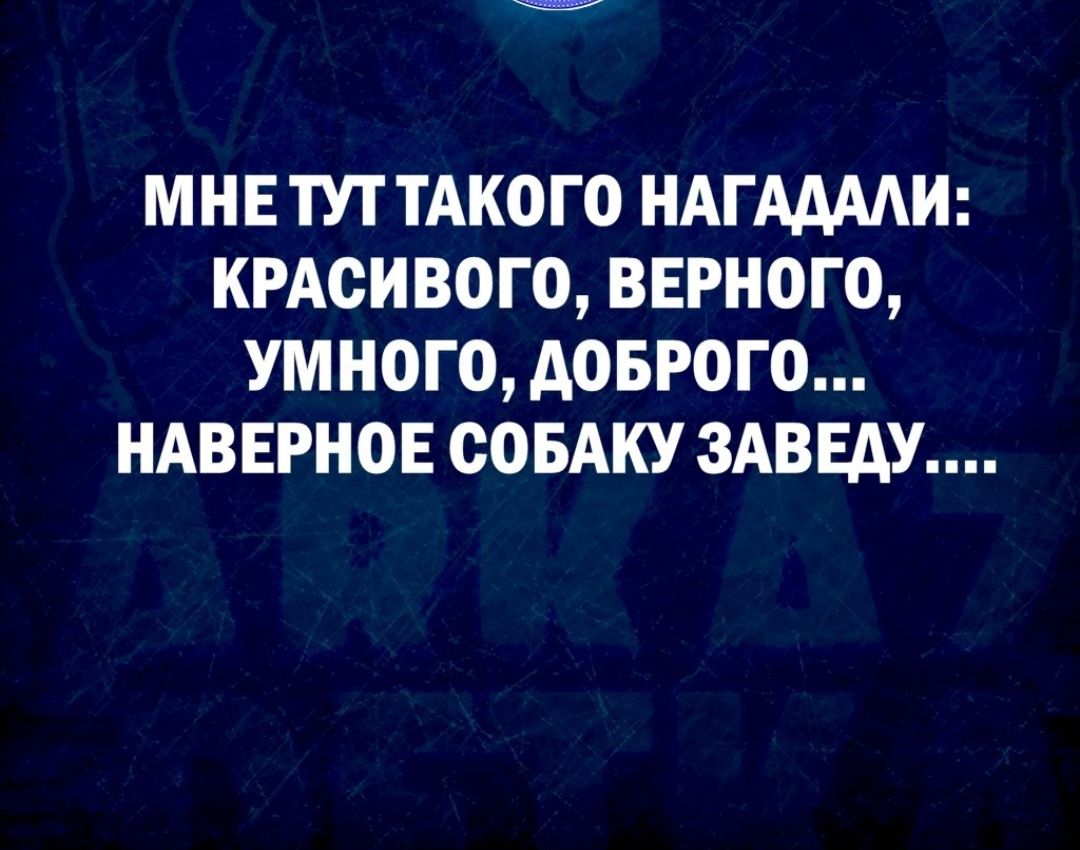 МНЕТУТТАКОГО НАГААААИ КРАСИВОГО ВЕРНОГО УМНОГО АОБРОГО НАВЕРНОЕ СОБАКУ 3АВЕАУ