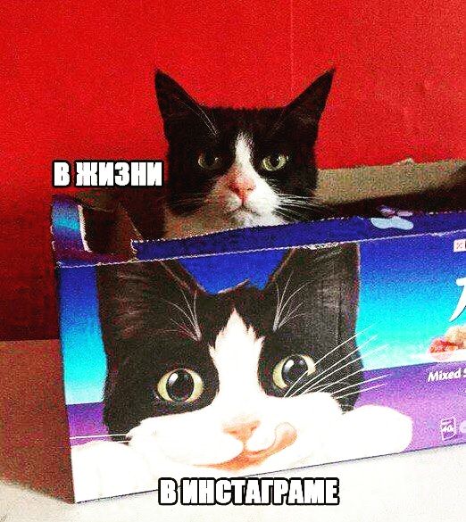 Ы : а йг . Ф