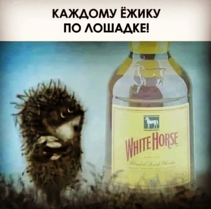 КАЖДОМУ Ёжику по АОШААКЕ