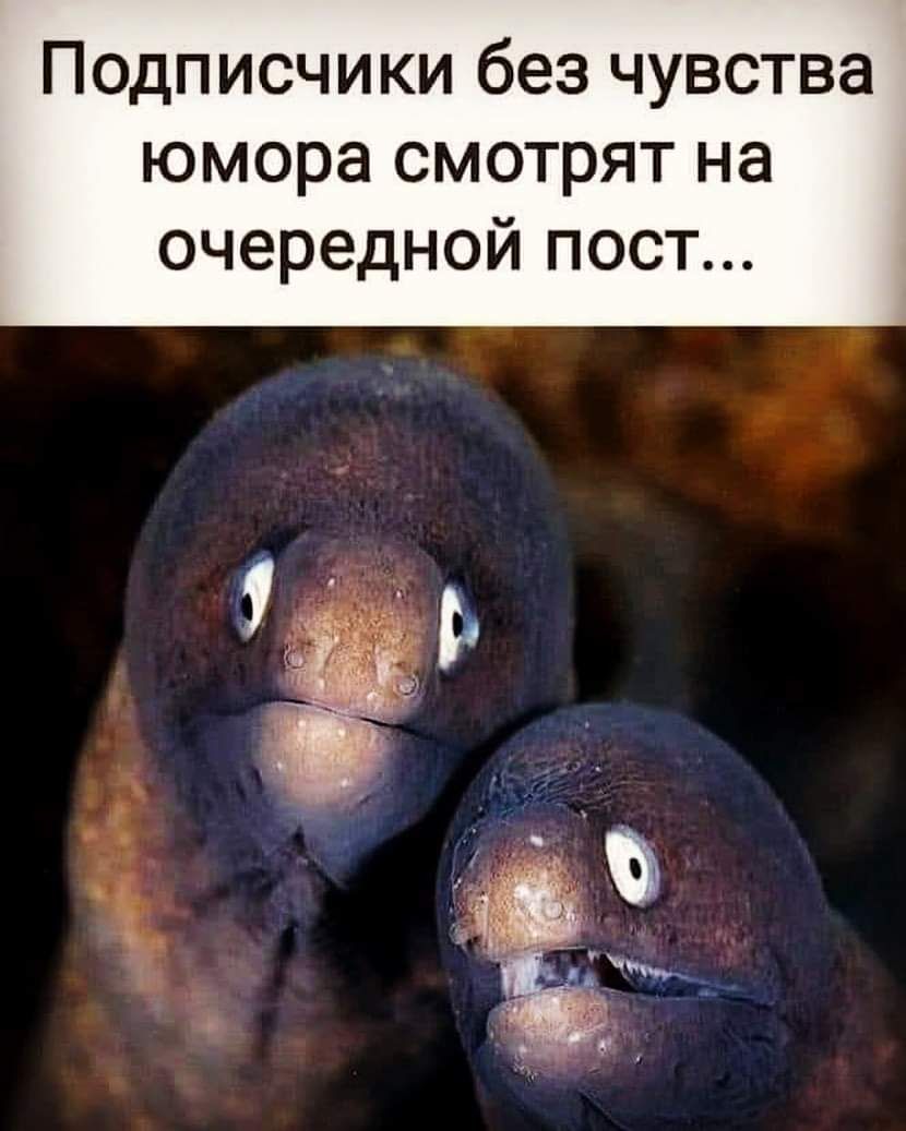 Подписчики без чувства юмора смотрят на очередной пост