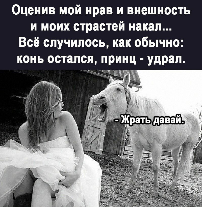 Оценив мой нрав и внешность и моих страстей накал... Всё случилось, как обычно: конь остался, принц  удрал. К