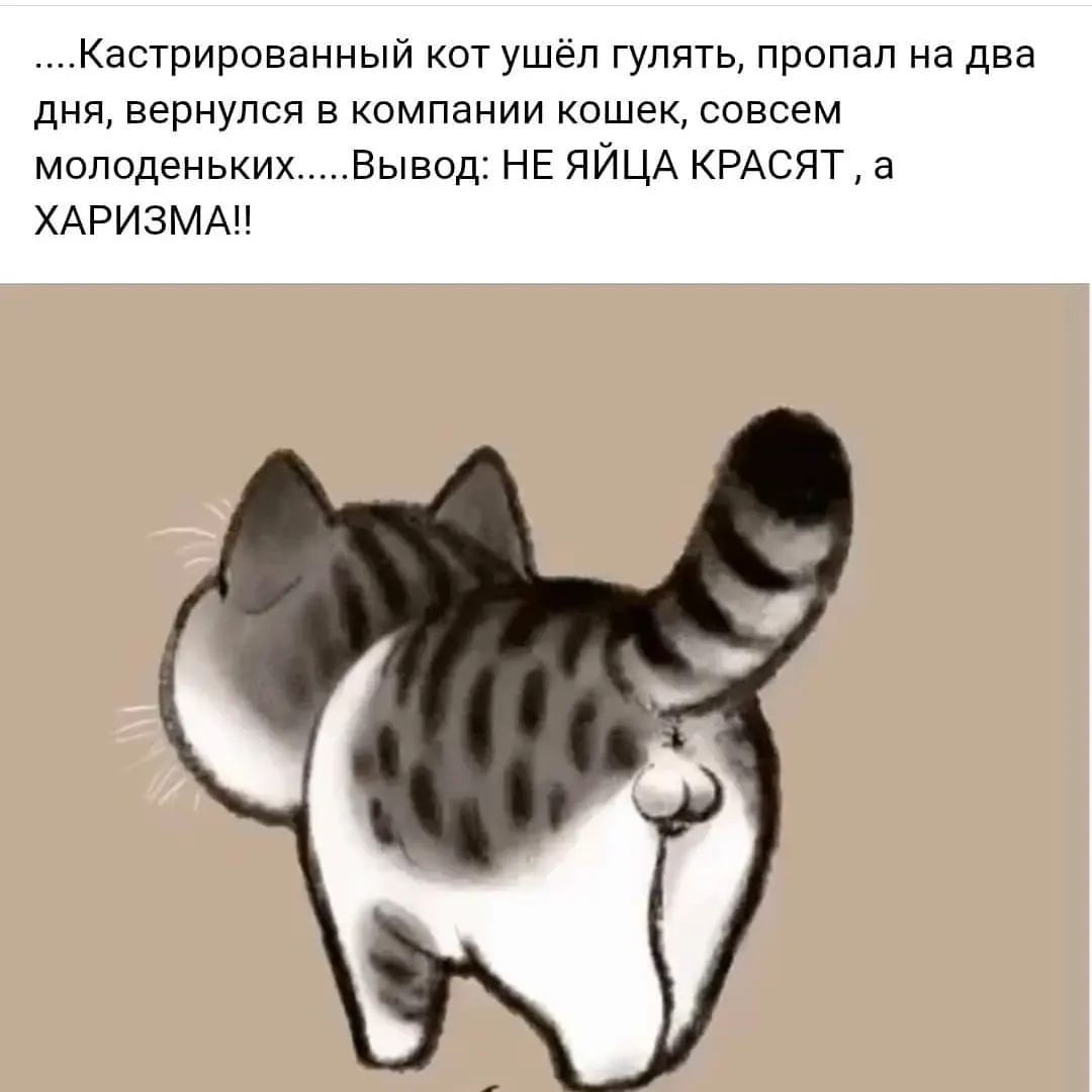 Кастрированный кот ушел гулять пропал на два дня вернулся в компании кошек совсем молоденьких _Вывед НЕ ЯЙЦА КРАСЯТ а ХАРИЗМА