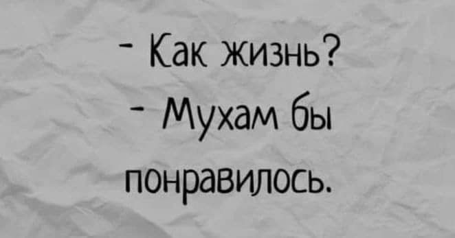 Как жизнь Мухдм бы понравилось