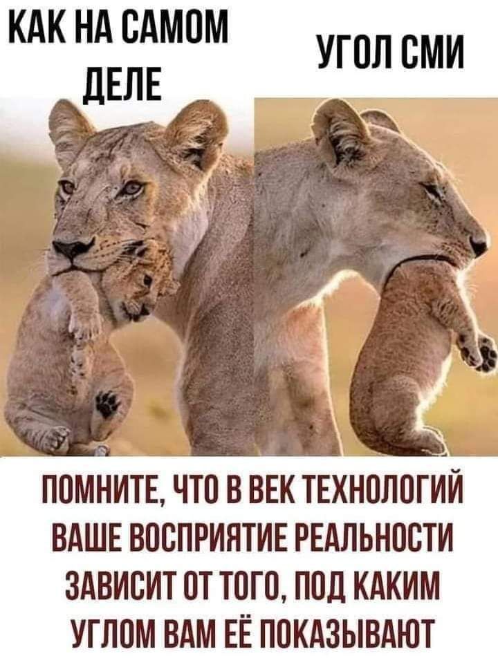 КАК НА САМОМ дЕЛЕ УГОЛ СМИ ПОМНИТЕ ЧТО В ВЕК ТЕХНОЛОГИЙ ВАШЕ ВОСПРИЯТИЕ РЕАЛЬНОСТИ ЗАВИСИТ ОТ ТОГО ПОЛ КАКИМ УГЛОМ ВАМ ЕЁ ПОКАЗЫВАЮТ