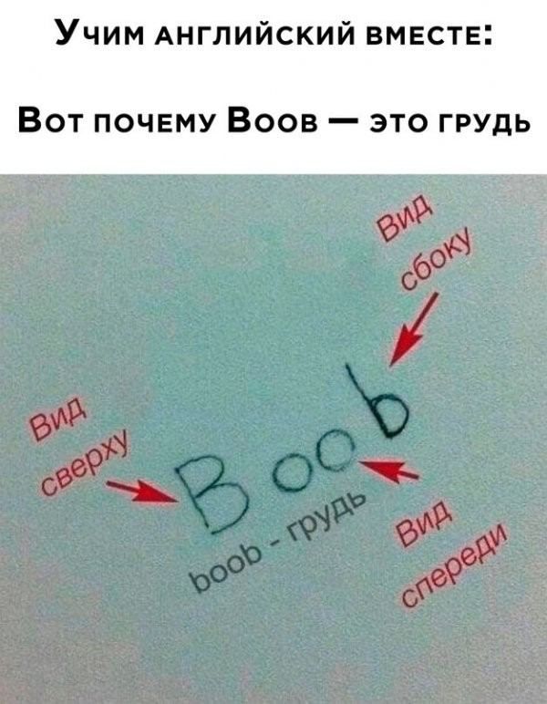 УЧИМ АНГЛИЙСКИЙ ВМЕСТЕ Вот почему Воов это грудь