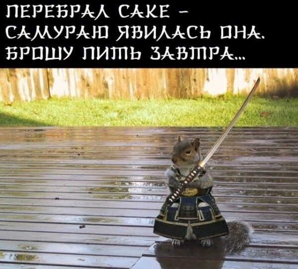 ПЕРЕБГЧЫК САКЕ СМУРЪЫ П ЯБИААСЬ 114 БРПШУ ПИТПЬ ЪЧЪТПР