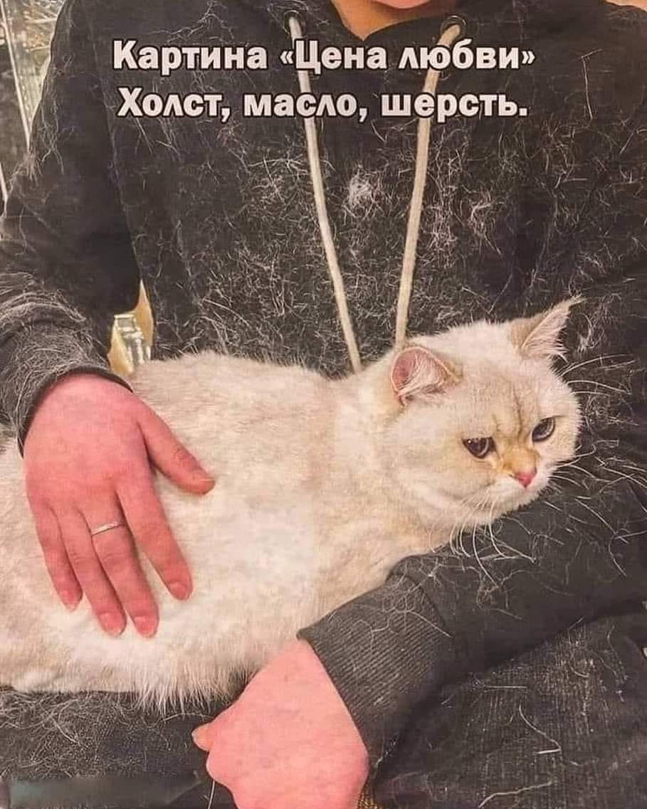 Картина Цена любви х_одст масмо шерсть