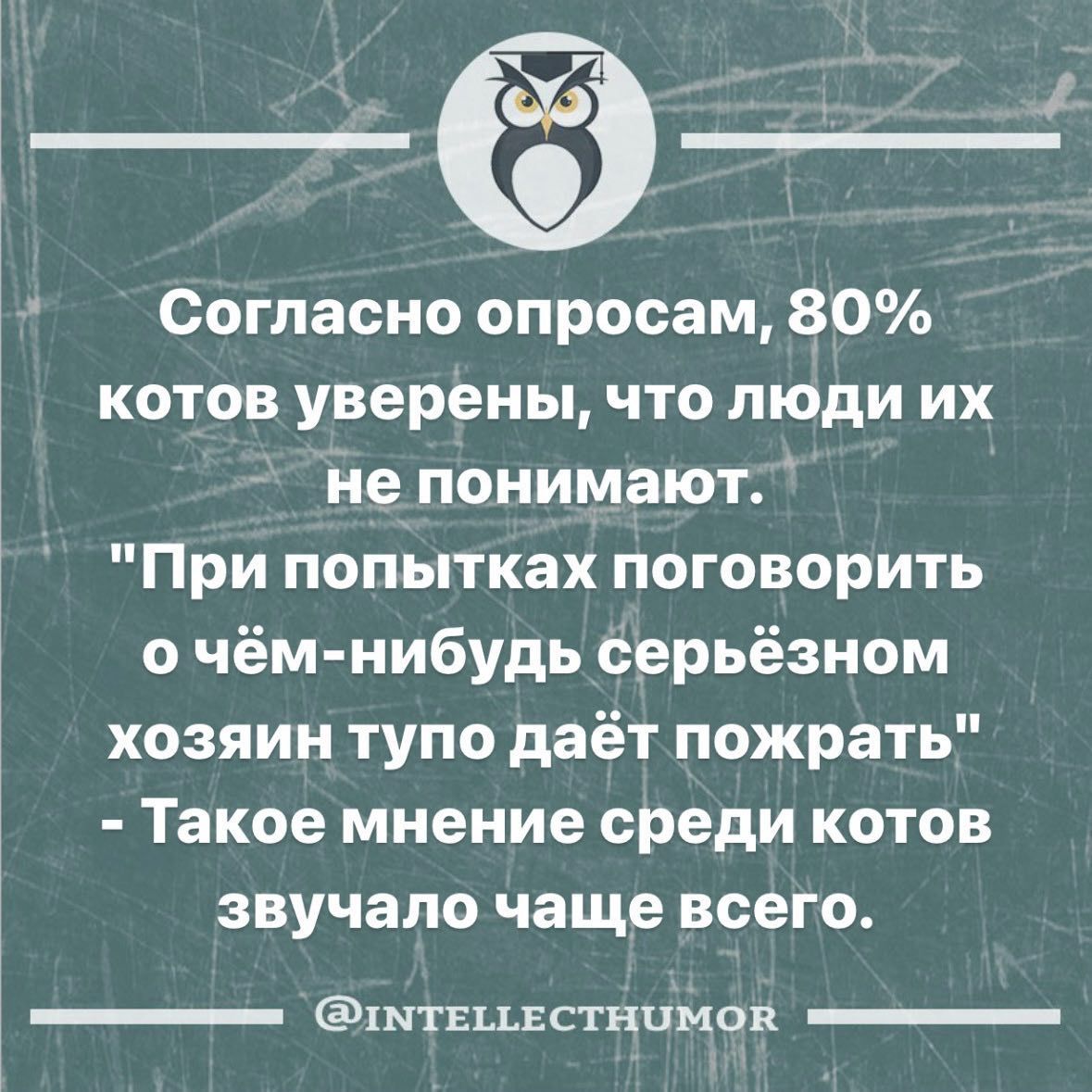 Согласно опросам 80 котов уверены что люди их не понимают При попытках поговорить о чём нибудь серьёзном хозяин тупо даёт пожрать Такое мнение среди котов звучало чаще всего штвцвстицмсп