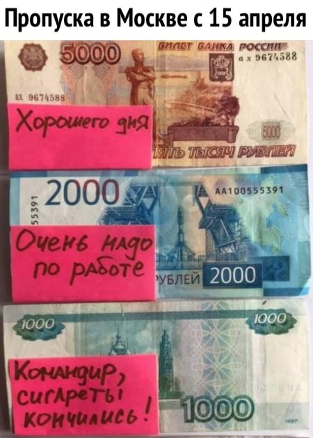 Пропуска в Москве с 15 апреля пшчм пили и ции росонг