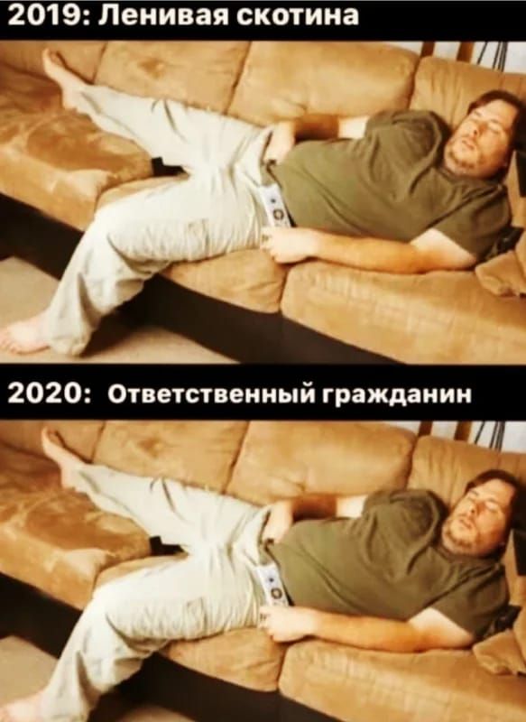 2019 Ленивая скотина