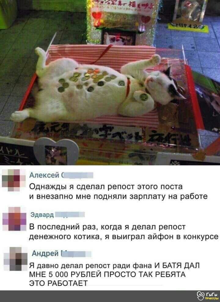 Алексей Однажды Я сделал репост ЭТОГО ПОСТЗ И внезапно мне ПОДНЯПИ ЗЭРППЭТУ на работе Эдвард В последний раз когда я делал репост денежного котика выиграл айфон в конкурсе Андрей Я давно делал репост ради фана И БАТЯ ДАЛ МНЕ 5 000 РУБЛЕЙ ПРОСТО ТАК РЕБЯТА ЭТО РАБОТАЕТ ГыГн Ш в