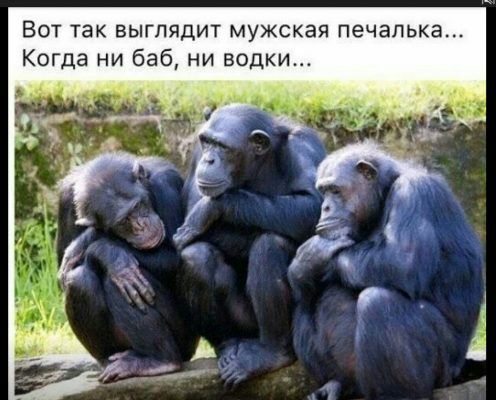 ВОТ ТЗК БЫГПЯДИТ мужская печапька Когда ни баб ни водки