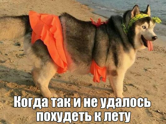 Когда так И не Удалось похудеть Н ЛВП