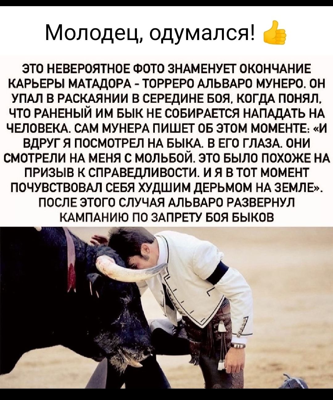 Молодец одумался ЭТО НЕВЕРОЯТНОЕ ФОТО ЗНАМЕНУЕГ ОКОНЧАНИЕ КАРЬЕРЫ МАТАдОРА ТОРРЕРО АЛЬВАРО МУНЕРО ОН УПАЛ В РАСКАЯНИИ В СЕРЕДИНЕ БОЯ КОГДА ПОНЯЛ ЧТО РАНЕНЫЙ ИМ БЫК НЕ СОБИРАЕТСЯ НАПАДАТЬ НА ЧЕЛОВЕКА САМ МУНЕРА ПИШЕТ ОБ ЭТОМ МОМЕНТЕ И ВДРУГЯ ПОСМОТРЕЛ НА БЫКА В ЕГО ГЛАЗА ОНИ СМОТРЕЛИ НА МЕНЯ С МОЛЬБОЙ ЭТО БЫЛО ПОХОЖЕ НА ПРИЗЫВ К СПРАВЕДЛИВОСТИ И Я В ТОТ МОМЕНТ ПОЧУВСТВОВАЛ СЕБЯ ХУДШИМ ДЕРЬМОМ НА ЗЕ