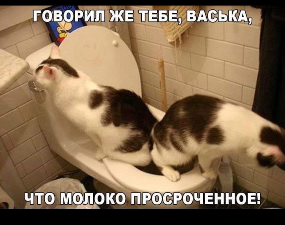 1С ОКО ПРФСРФЧЕННОЕ