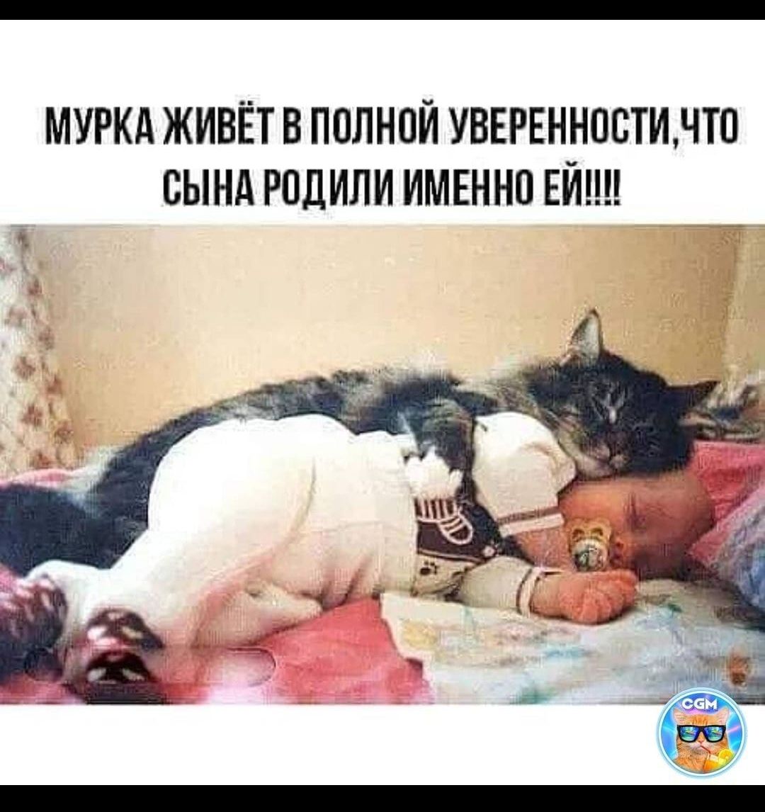 МУРКА ЖИВЁТ В ПОЛНОЙ УВЕРЕННООТИНТО СЫНА РОДИЛИ ИМЕННО Е