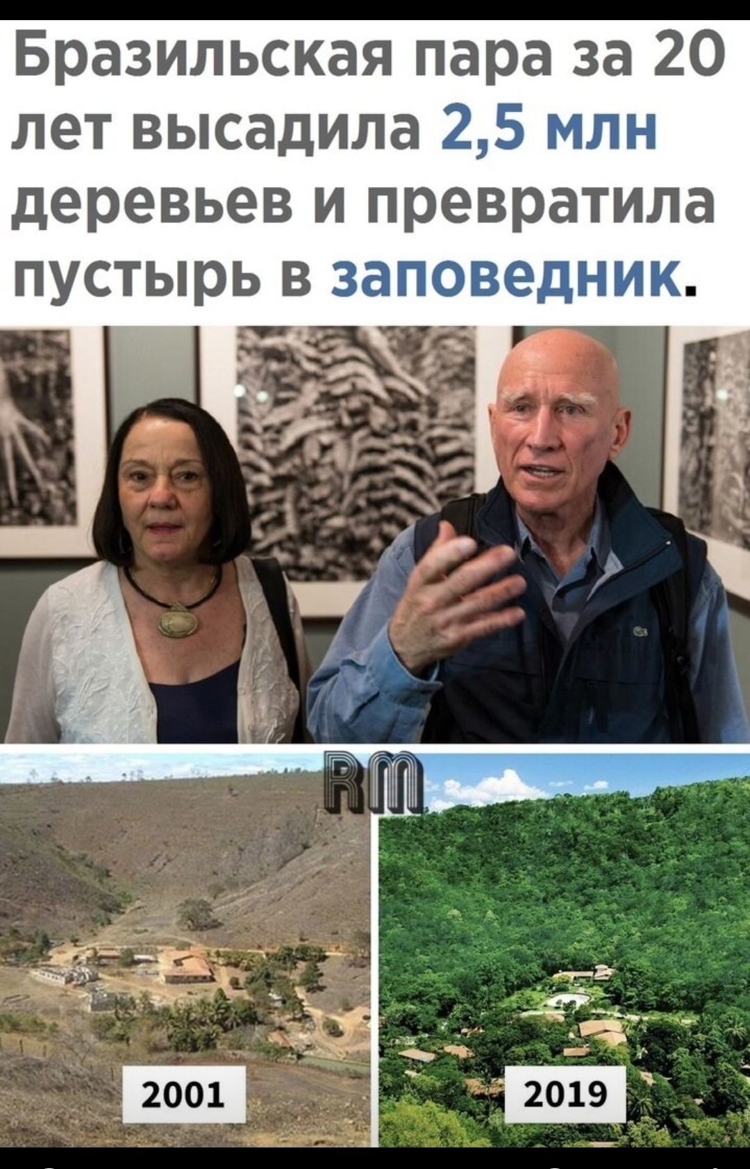 Бразильская пара за 20 лет высадила 25 деревьев и превратила пустырь в затеведвпии