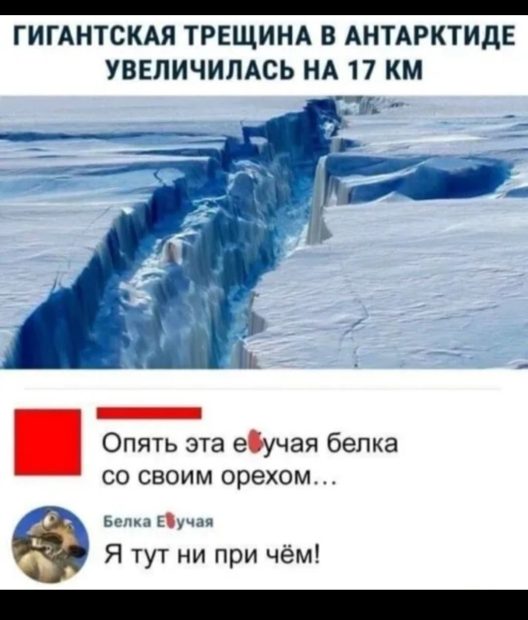 ГИГАНТСКАЯ ТРЕЩИНА В АНТАРКТИДЕ УВЕЛИЧИЛАСЬ НА 17 КМ гіь _ Опять эта еучая белка СО СВОИМ орехом Белка Еучая Я тут ни при чём