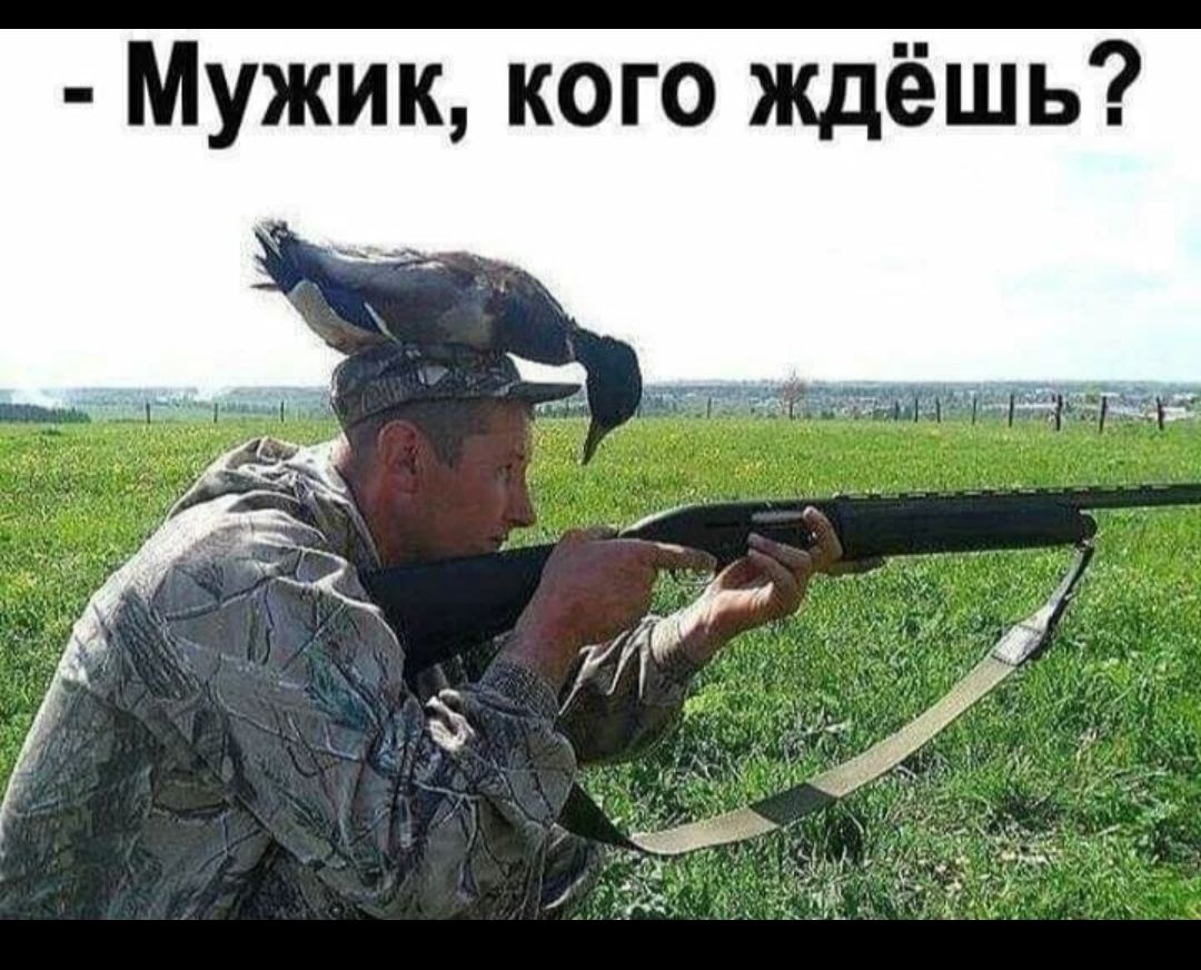 Мужик кого ждёшь
