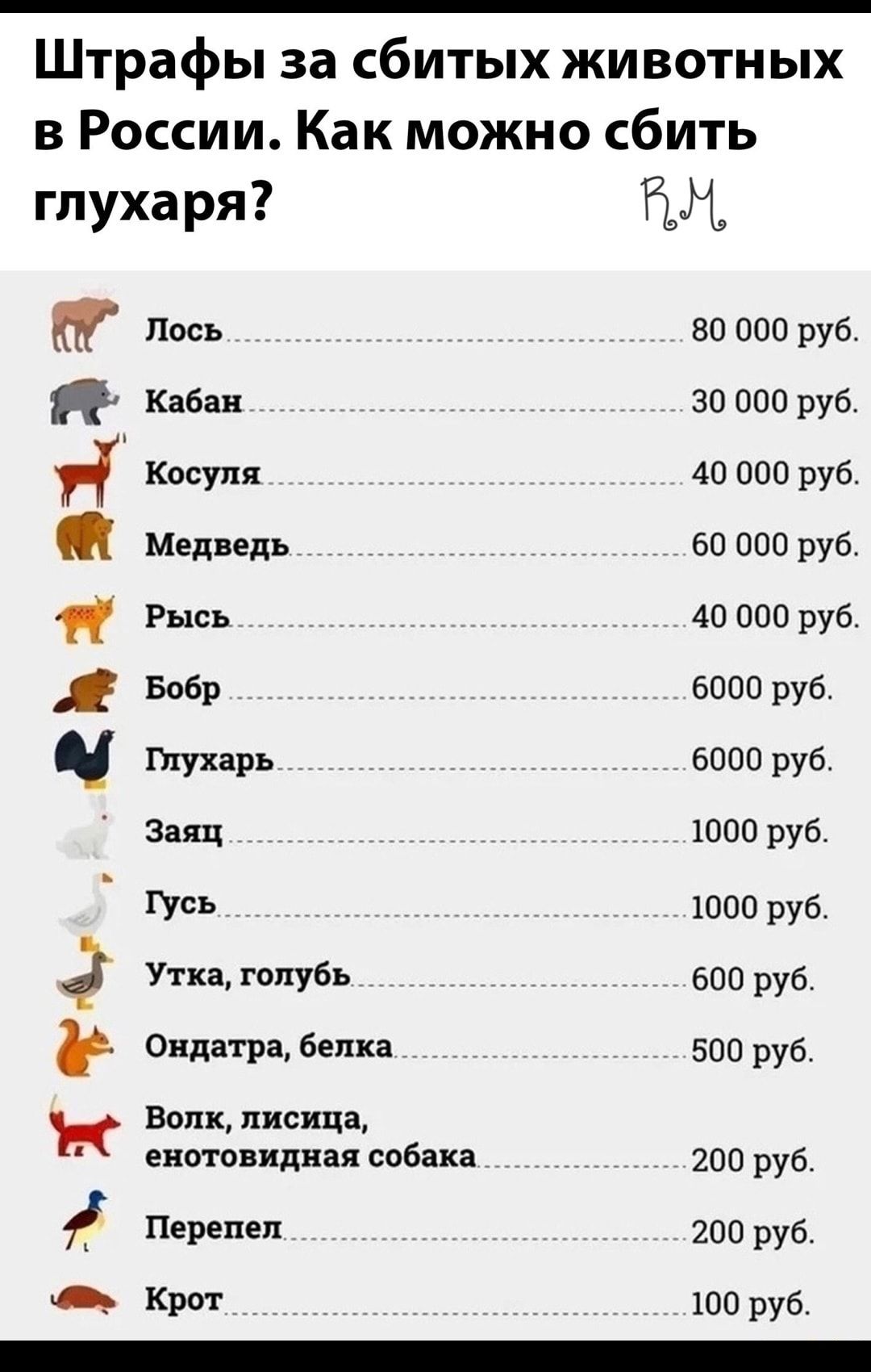 Штрафы за сбитых животных в России Как можно сбить глухаря Лось 80 000 руб Кабан ___________________________________ _ 30 000 руб Я Косуля 40 000 руб Медведь 60 000 руб Рысь ________________________________________ 40 000 руб Бобр __ __ _ 6000руб Птухарь ________________________________________ 6000 руб Заяц 1000 руб _ ГУСБ 1000 руб Утка голубь ________________________________ 600 руб_ Ондатра бел