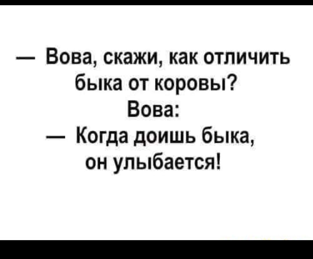 Вова скажи как отличить быка от коровы Вова Когда доишь быка он улыбается