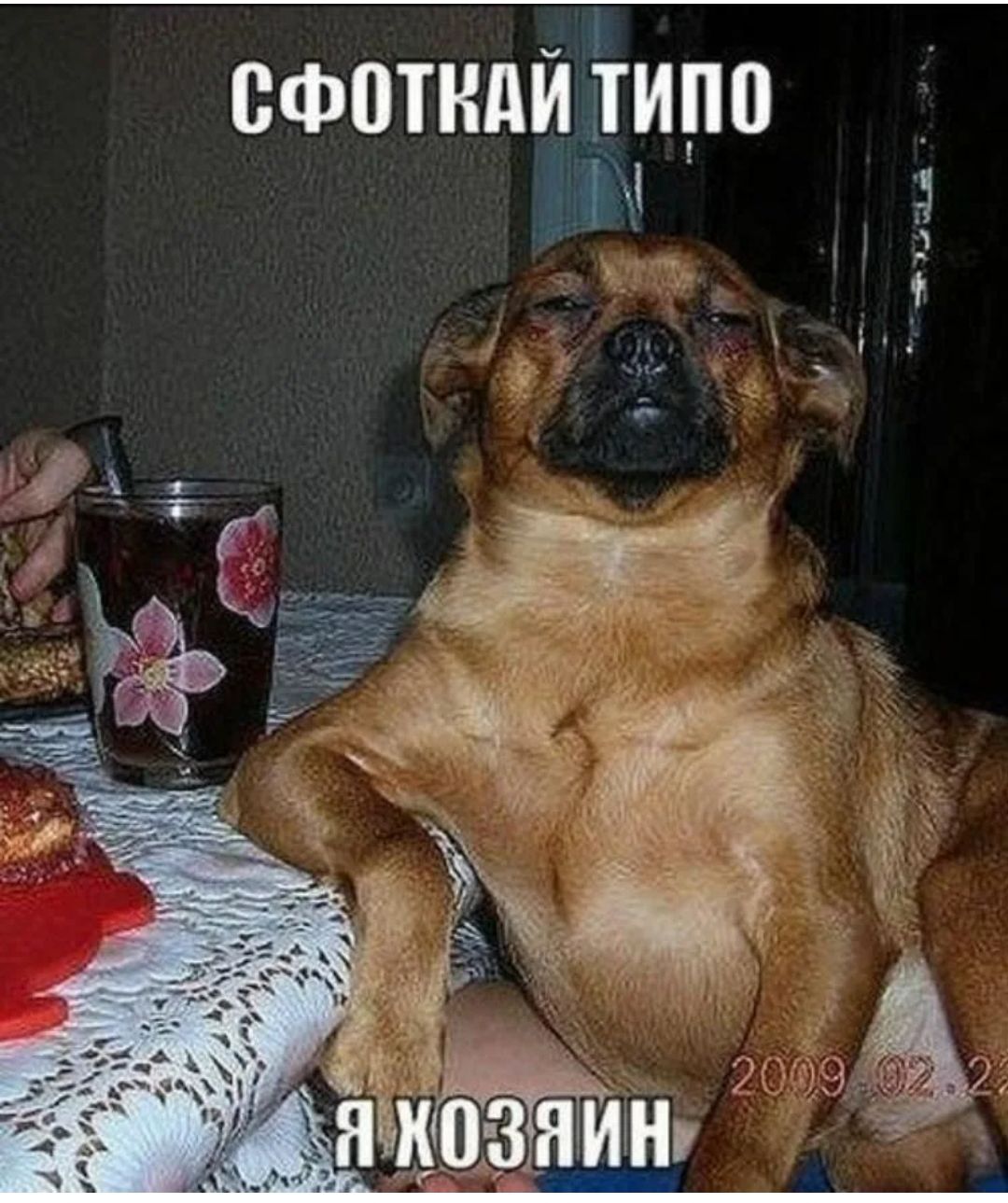 типо СМИ а