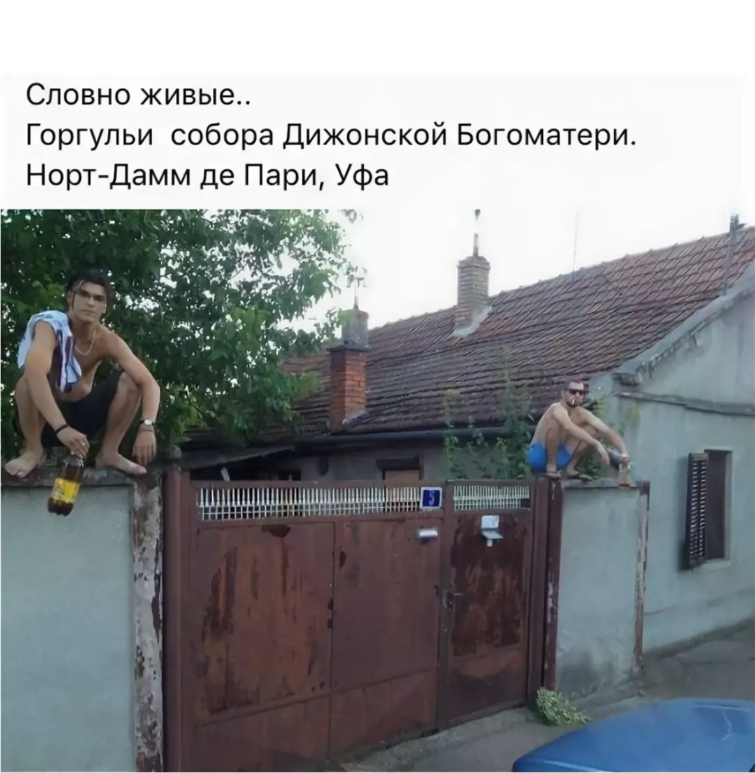 Словно живые Горгульи собора Дижонской Богоматери Норт Дамм де Пари Уфа