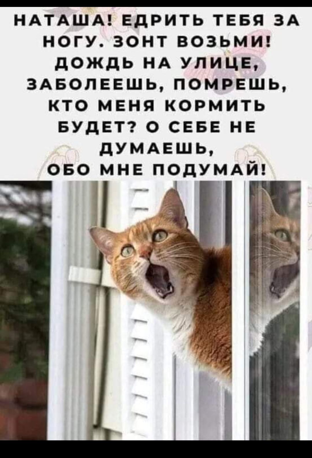 НАТАША ЕдРИТЬ тввя ЗА ногу зонт ВОЗЬМИ дождь НА улице здволввшь помрешь кто меня кормить БУДЕТ о СЕБЕ не дУМАЕШЬ ово мне ПОДУМАЙ