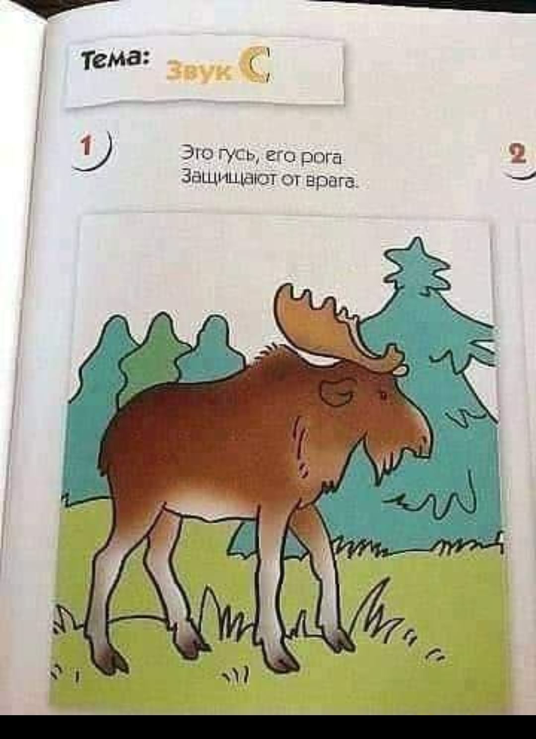 Это гусь его рога 2 Защициют от врага