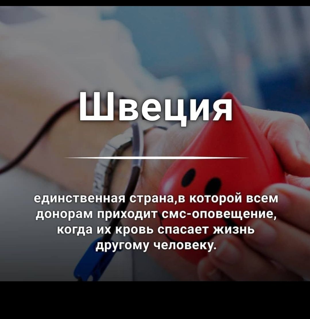 Овь спасает жизнь  му человеку.