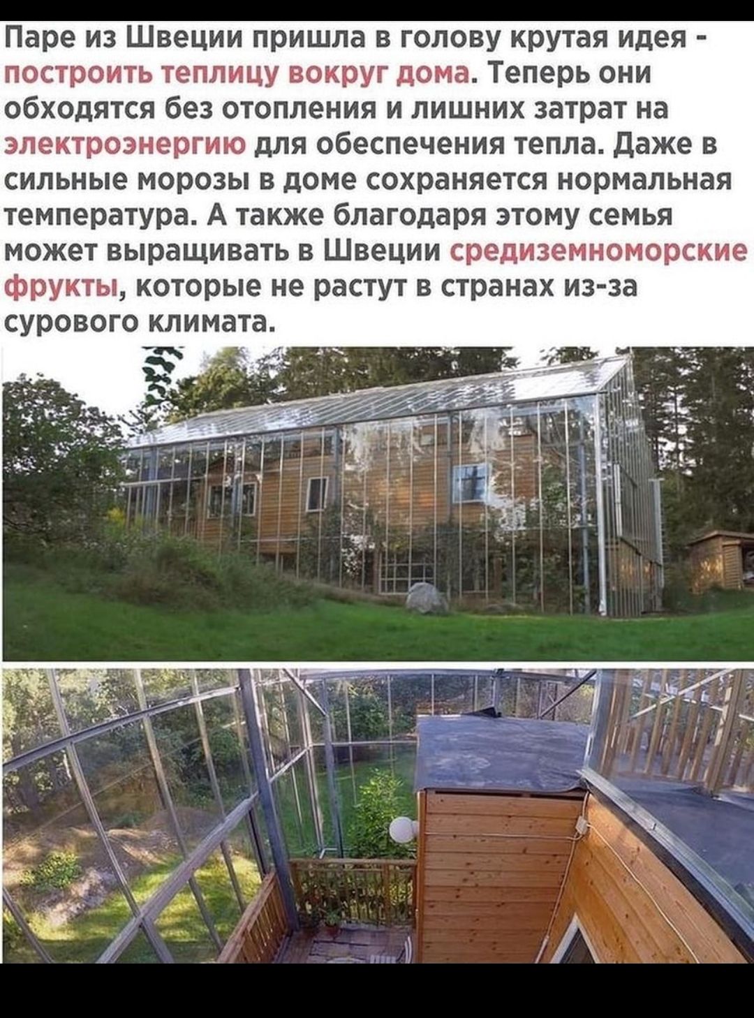 Паре из Швеции пришла в голову крутая идея построить теплицу вокруг дома Теперь они обходятся без отопления и лишних затрат на электроэнергию для обеспечения тепла даже в сильные морозы в доме сохраняется нормальная температура А также благодаря этому семья может выращивать в Швеции средиземноморские фрукты которые не растут в странах из за сурового климата