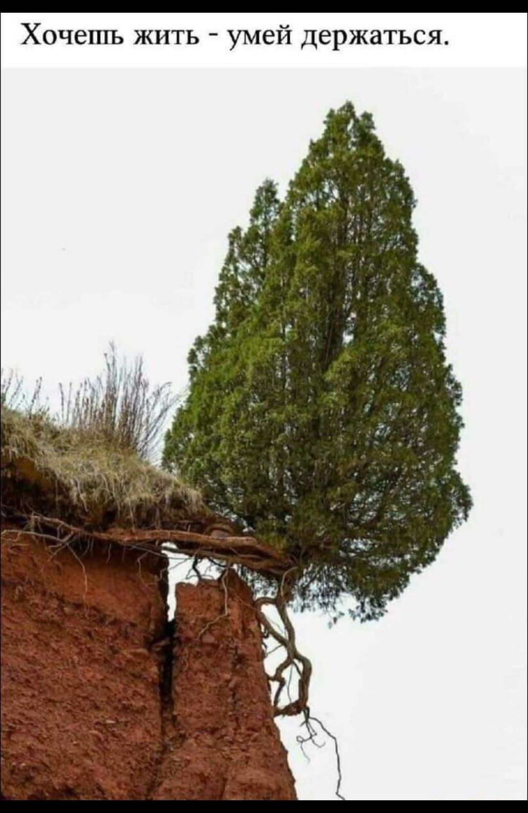 _ ХОЧЕПТЬ ЖИТЬ умей держаться