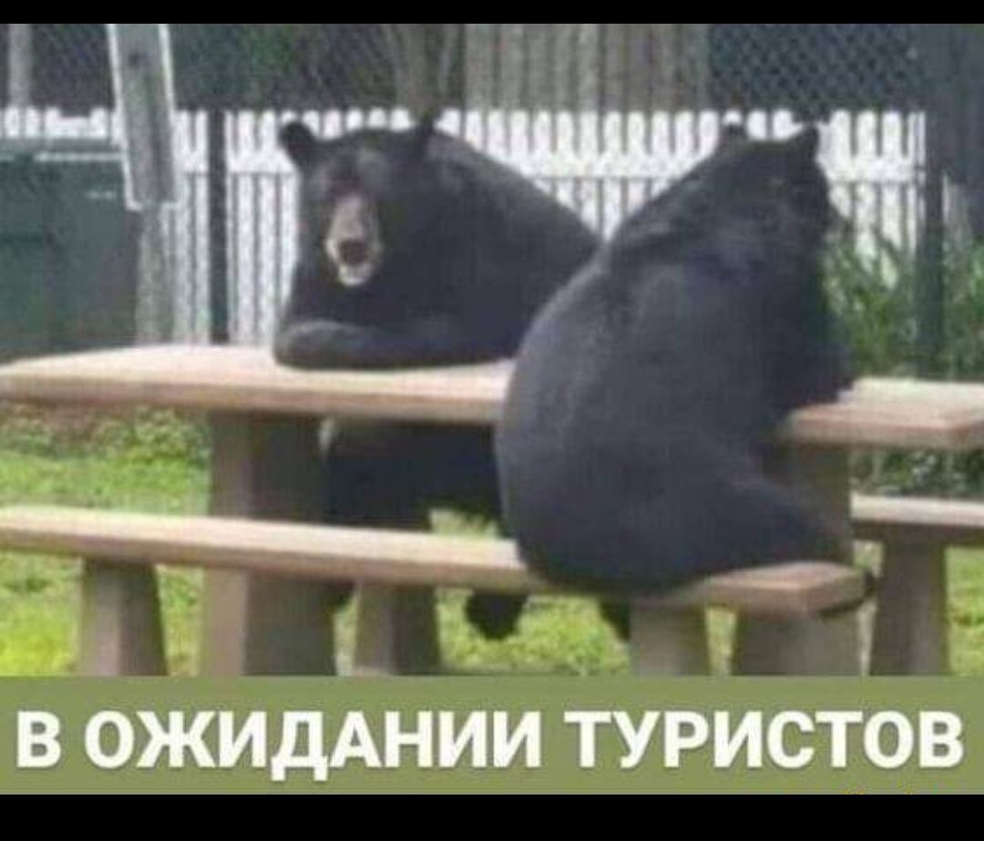 В ОЖИДАНИИ ТУРИСТОВ