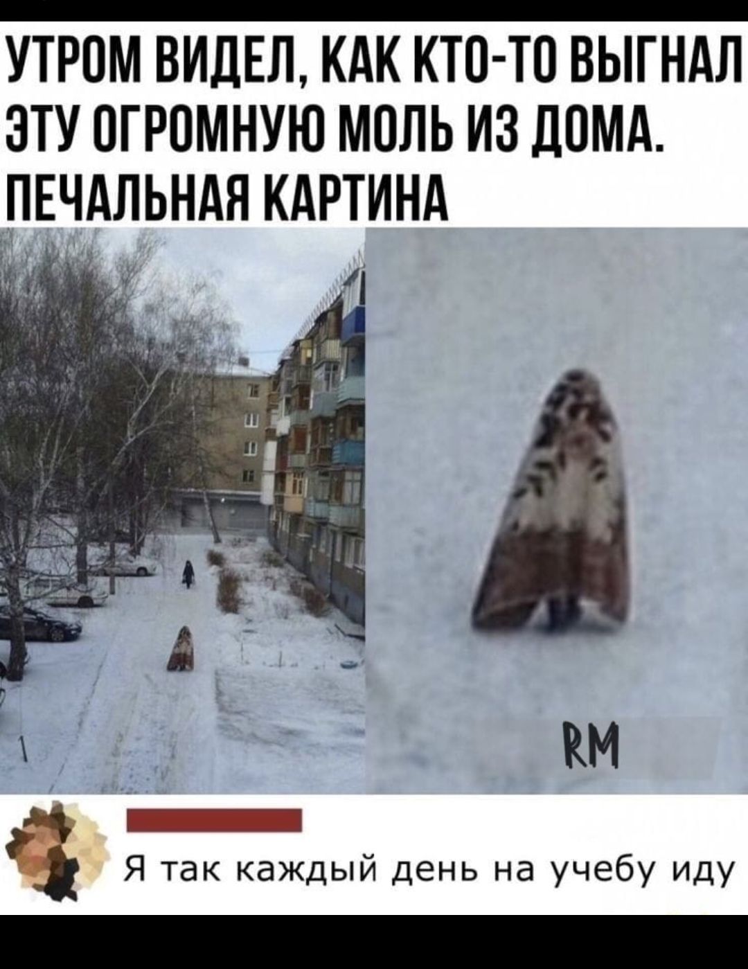 утром ВИДЕЛ кдк кто то выгндл эту огромную моль из ДОМА пЕчдльндя кдртинд а 1 КМ 1 Я так каждый день на учебу иду