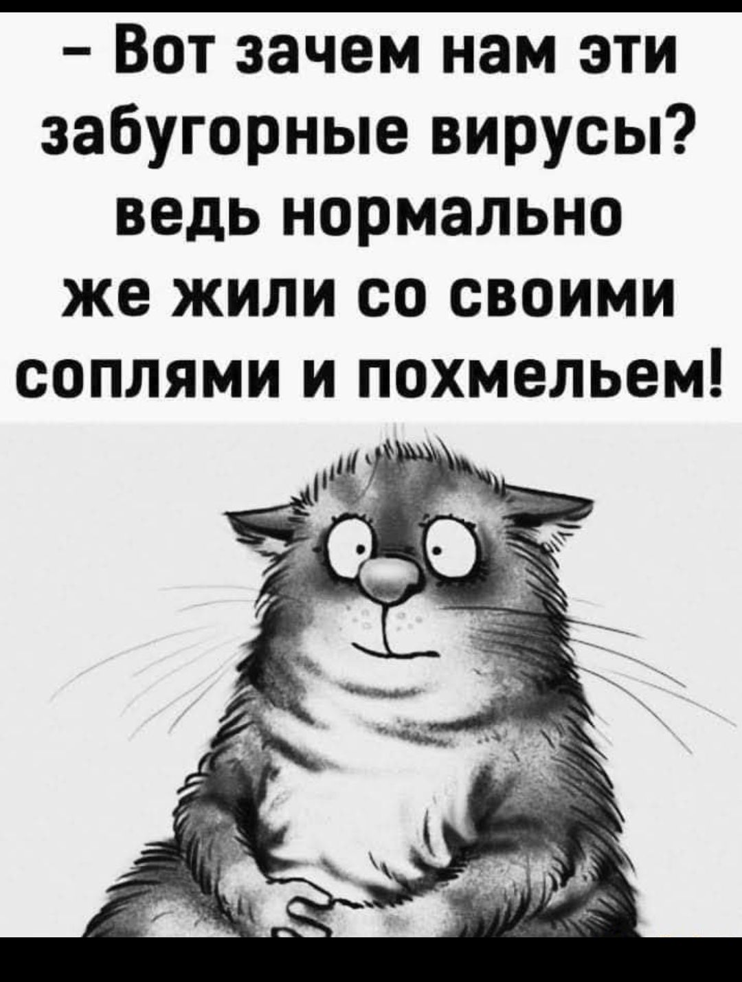 Вот зачем нам эти забугорные вирусы ведь нормально же жили со своими соплями и похмельем
