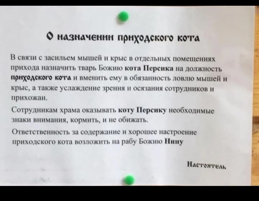 О назначении приходского кота С С Нк1 ШШШ П ч с Пп ПОЧСПКНПЯХ ПРИМУШ НШЧН П мнн КОНП ПСПКН Н11ПЦЖНОСГЬ приходского кота н пчсннп с нщн юшю мьппсй Ьрі іь НПСМС _ ЗГ ШП ЧЦЧНШ ПСН ИНН 0Р_1ППи НРПМНЫН прх шим рцхы пншцп к Персик псобжцпмьш мы пппчдшня мчит пс Ммм ЦН СНПНС П К НЦ Н ОРПНЦТ НАСЦЦСПНС 1пп1смшкп1птицынар Ьмпп Нину кто е