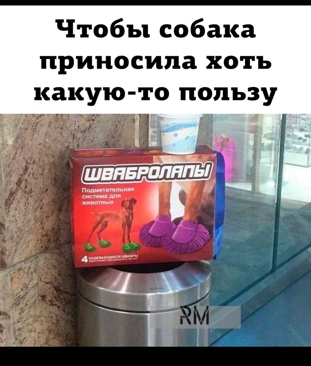 Чтобы собака приносила хоть зу