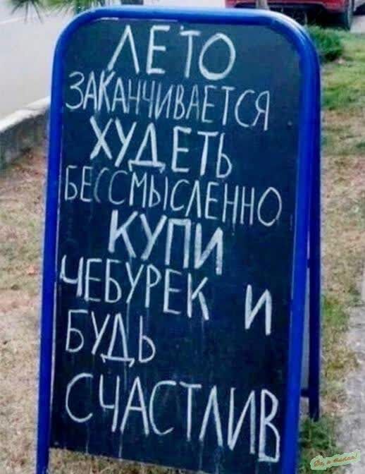 ЛЕТО ЗАКАНЧИВАЕТСЯ ХУДЕТЬ БЕССМИСЛЕННО КУПИ ЧЕБУРЕК И БУДЬ СЧАСТЛИВ
