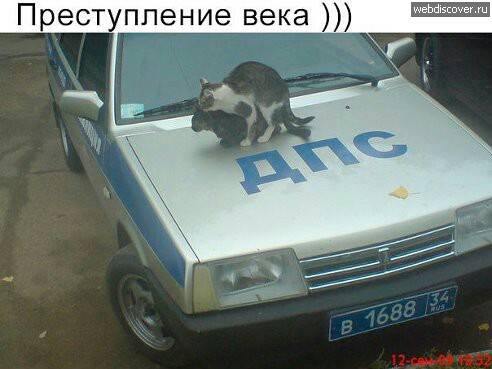 1 они